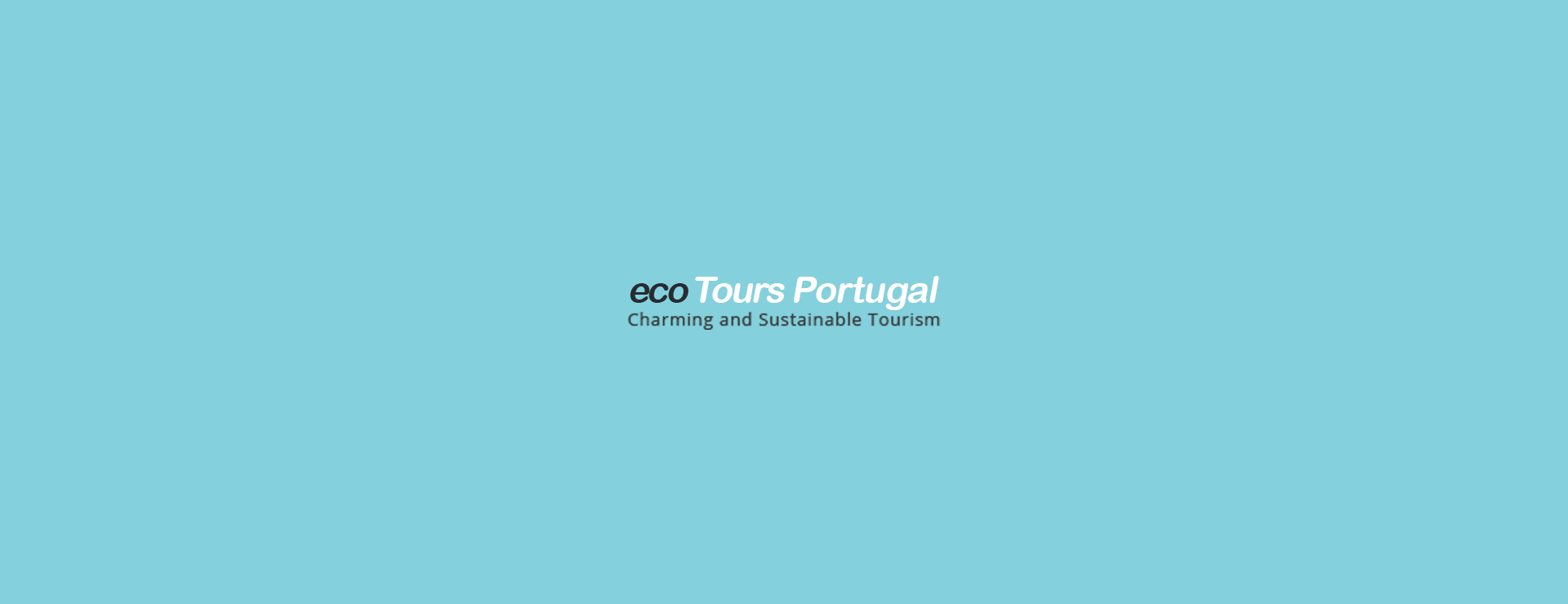 Douro and Port Wine Tour