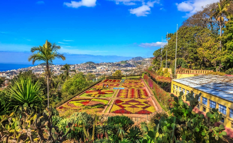 O Jardim Botânico do Funchal é um dos mais belos jardins do mundo!