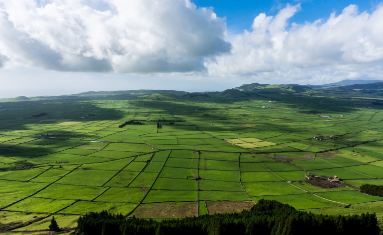 En la isla de Terceira se sorprenderá con enormes campos verdes