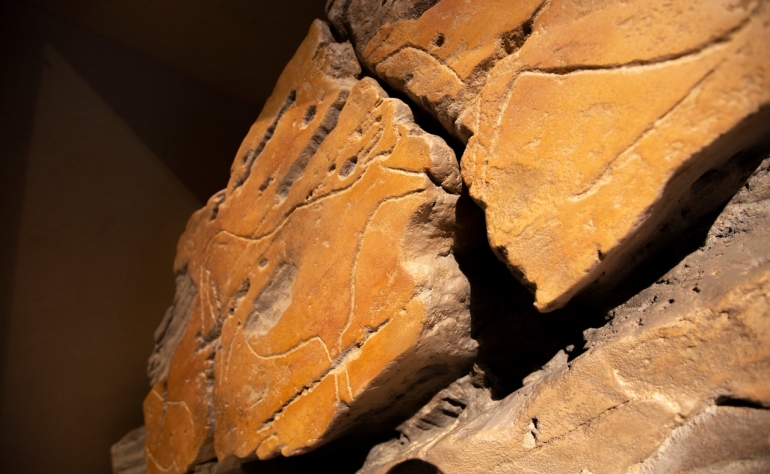 À Foz Côa, admirez l'incroyable art rupestre